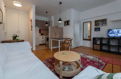 Miete einer gemütlichen 2-Zimmer-Wohnung, 45 m², Zentrum, Vračar, Belgrad, Serbien